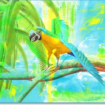 blue-yellow-macaw-watercolor-gingezel.jpg