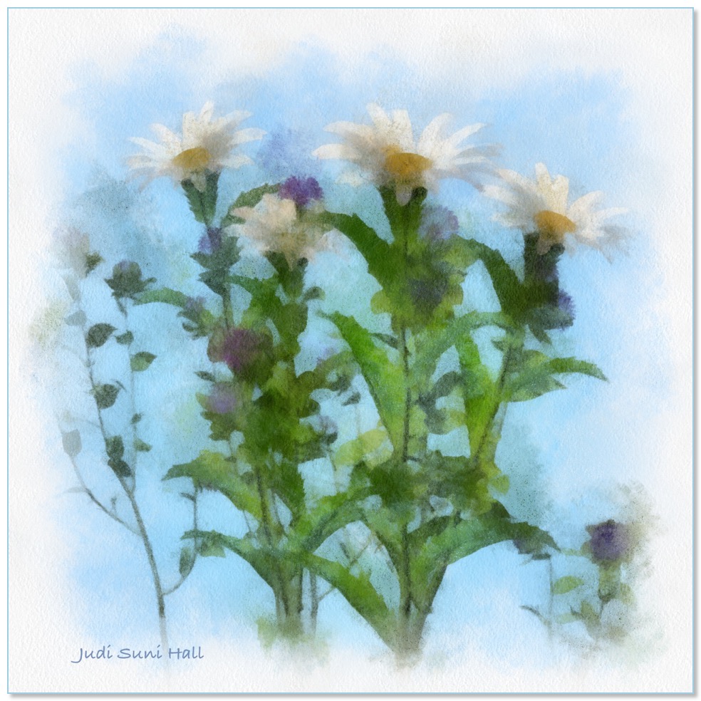 Daisies and Bachelor Buttons watercolor by Gingezel.