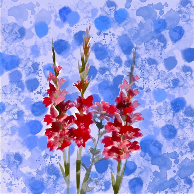 Some photoshop work doing a painting of gladiolas.