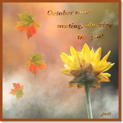 This haiga reads:</br>October mist</br>muting, blurring</br>the gold